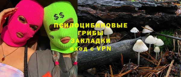 мдпв Мегион