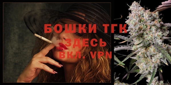 мдпв Мегион